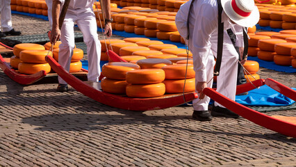 Cheese carriers on the cheese market in the Dutch city of Alkmaar.