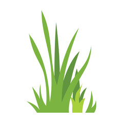 Green grass Illustration. Green lawn, flower, natural borders, herbs. Flat vector illustrations for spring, summer, nature, ground, plants concept.