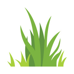 Green grass Illustration. Green lawn, flower, natural borders, herbs. Flat vector illustrations for spring, summer, nature, ground, plants concept.