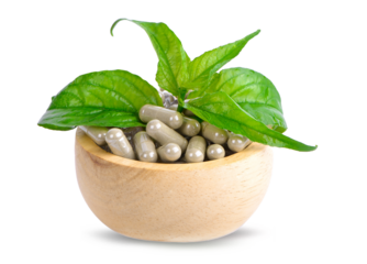 fresh Thai herbal medicine herbs organic plant leaves on wood bowl. Andrographis paniculata.Thailand'herb for protect virus.herb prevent the virus from multiplying cells on transparent.
