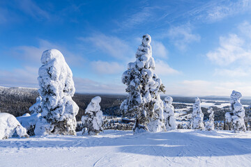 Landschaft mit Schnee im Winter in Ruka, Finnland - 580330212