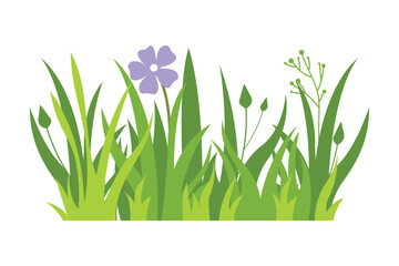 Green grass Illustration. Green lawn, flower, natural borders, herbs. Flat vector illustrations for spring, summer, nature, ground, plants concept.