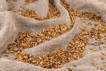 heavily fried sunflower seeds close up