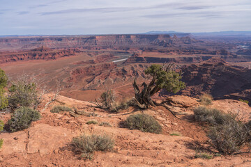 hiking the dead horse trail in dead horse point state park in utah, usa