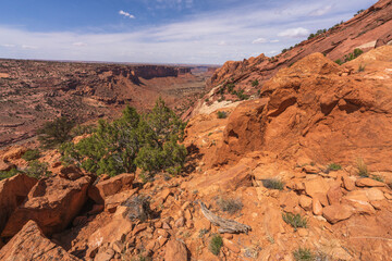 hiking the syncline loop trail in island in the sky district of canyonlands national park, utah, usa