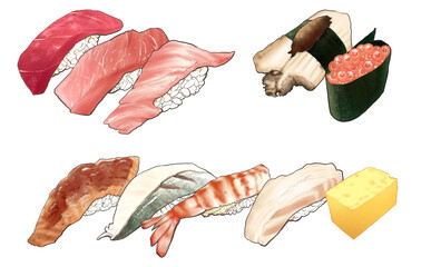 寿司9種と玉子・鮨 イラスト素材 白背景　他ネタ・差分あり マグロ・中トロ・大トロ・鮑・イクラ・エビ・アナゴ・トロたく・鯛・〆サバ