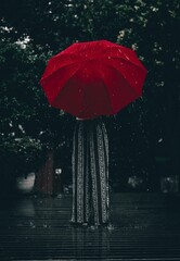 Person Standing Under Red Umbrella