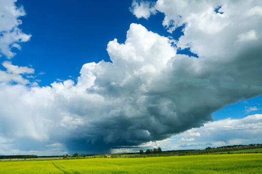Big dark rain cumulus clouds over green and yellow rapeseed agriculture field