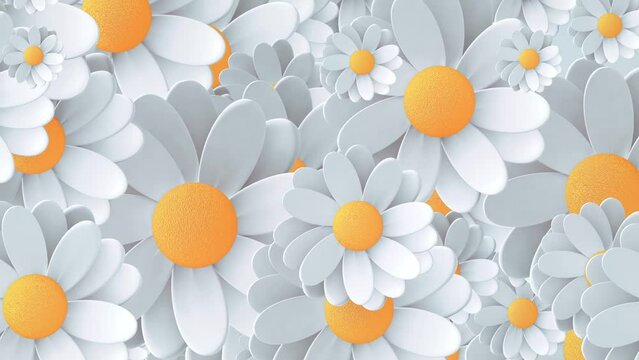 3d Animation - Looped animated background of randomly rotating white flowers 