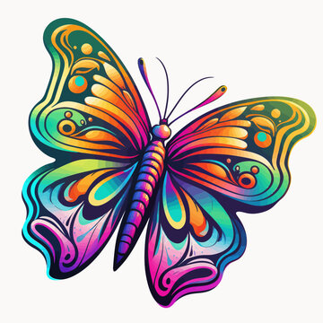 Colorful painting butterfly on white background