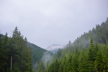 Carpathian Majesty: Hoverla Mountain and Surrounding Natural Wonders