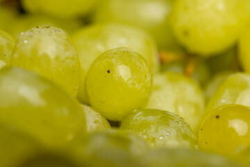 Fresh Sweet washed green grapes