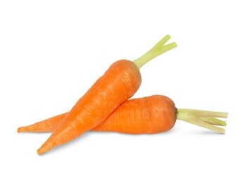 Carrot isolated on white background