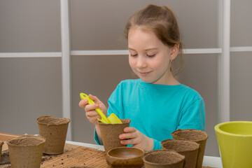 cute girl at the table prepares peat pots for planting seedlings