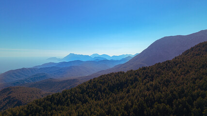 mountain landscape. brown forest blue sky beautiful landscape © 96digital