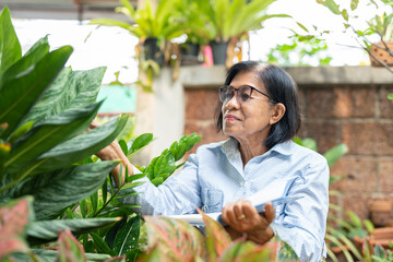 Asian elderly woman taking notes on planting trees in garden at home. Older woman retirement...