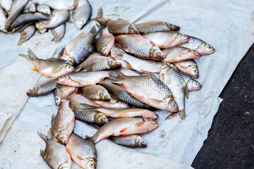 pile of freshly harvested  fish for sale in Asian fish market