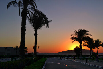 Sunrise on the Red Sea
