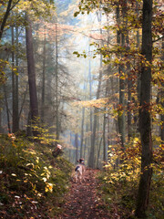 Walking with the dog through a foggy autumn forest  - 580355073