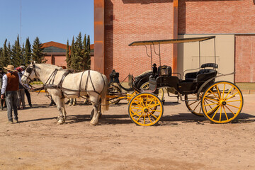 Carruaje de campo tirado por caballos