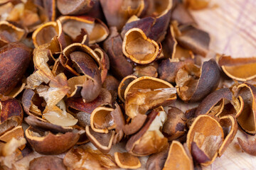 a bunch of pine nuts in the shell