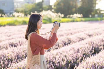 Woman use camera to take photo in the flower field