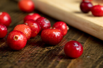 Red wild cranberries covered with drops of water