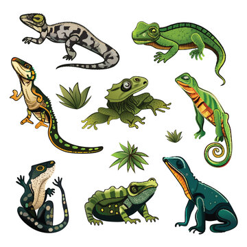 Illustration of Amphibians Character Icon Set In Flat Style.