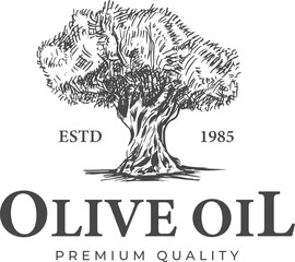 Olive Tree Engraving Drawing with black color vintage
