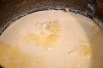 cooked cow's milk and the milk cream formed on it, milk fat,