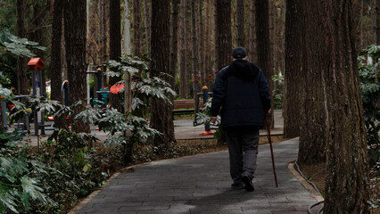 Fototapeta na wymiar An elderly man with a stick is walking through the autumn park.