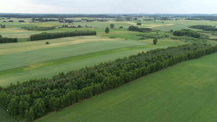DCIM\100MEDIA\DJI_0147.JPG