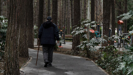 An elderly man with a stick is walking through the autumn park.