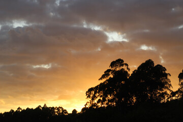 Sunset in the swidden, in the city of Coimbra in the interior of the state of Minas Gerais, with clouds, vegetation and sunlight composing a beautiful image..