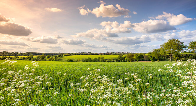 Paysage de campagne au printemps dans la nature en France.