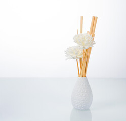 Photo in the style of minimalism. White vase with flowers and bamboo sticks on a light mirror background