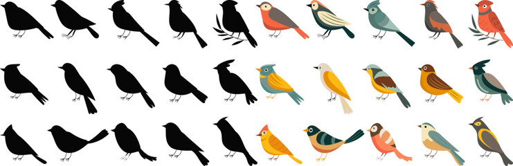 set of birdies collection isolated, vector