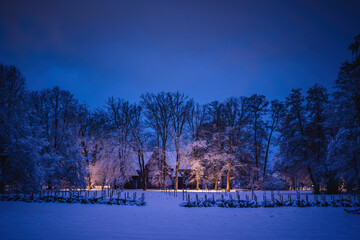 Winterlandschaft in der L&uuml;neburger Heide am fr&uuml;hen Morgen