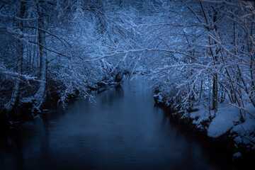 Winterlandschaft in der L&uuml;neburger Heide am fr&uuml;hen Morgen