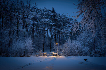 Winterlandschaft in der L&uuml;neburger Heide am fr&uuml;hen Morgen