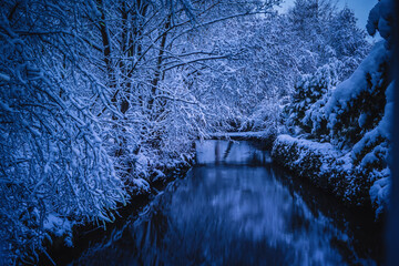 Winterlandschaft in der L&uuml;neburger Heide am fr&uuml;hen Morgen