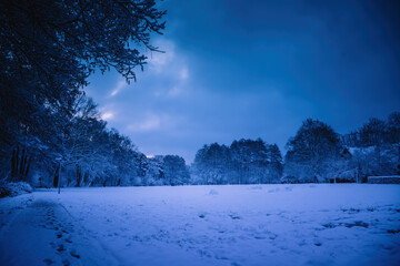 Winterlandschaft in der Lüneburger Heide am frühen Morgen