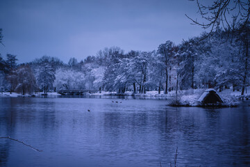 Winterlandschaft in der L&uuml;neburger Heide am fr&uuml;hen Morgen