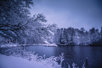 Winterlandschaft in der Lüneburger Heide am frühen Morgen