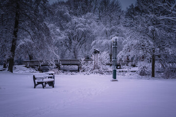 Winterlandschaft in der L&uuml;neburger Heide am fr&uuml;hen Morgen
