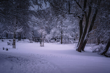 Winterlandschaft in der L&uuml;neburger Heide am fr&uuml;hen Morgen