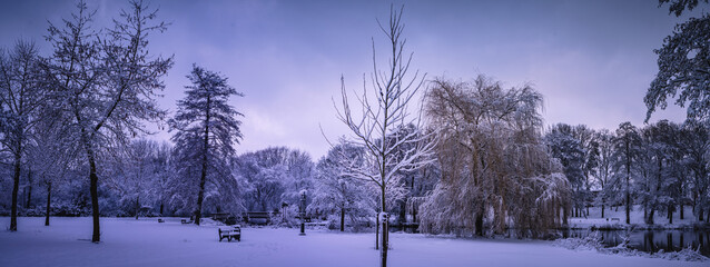 Winterlandschaft in der L&uuml;neburger Heide am fr&uuml;hen Morgen
