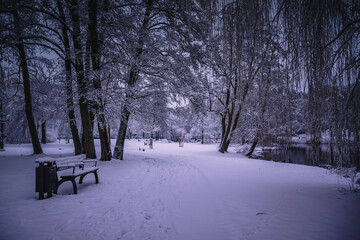 Winterlandschaft in der L&uuml;neburger Heide am fr&uuml;hen Morgen