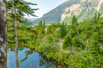 Majestic mountain lake in Canada. Upper Joffre Lake Trail View.