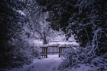 Winterlandschaft in der L&uuml;neburger Heide am fr&uuml;hen Morgen